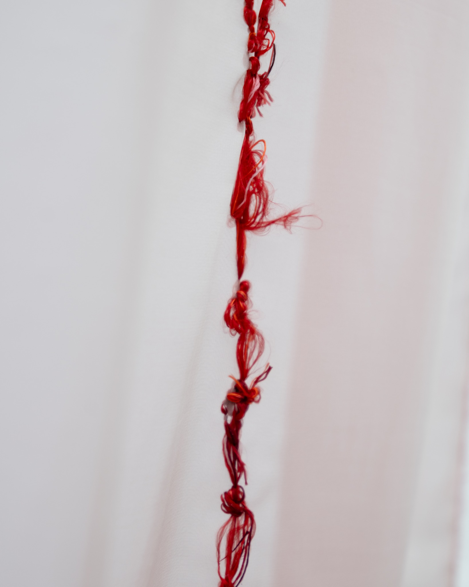 Vertical embroidered silk line on translucent organza