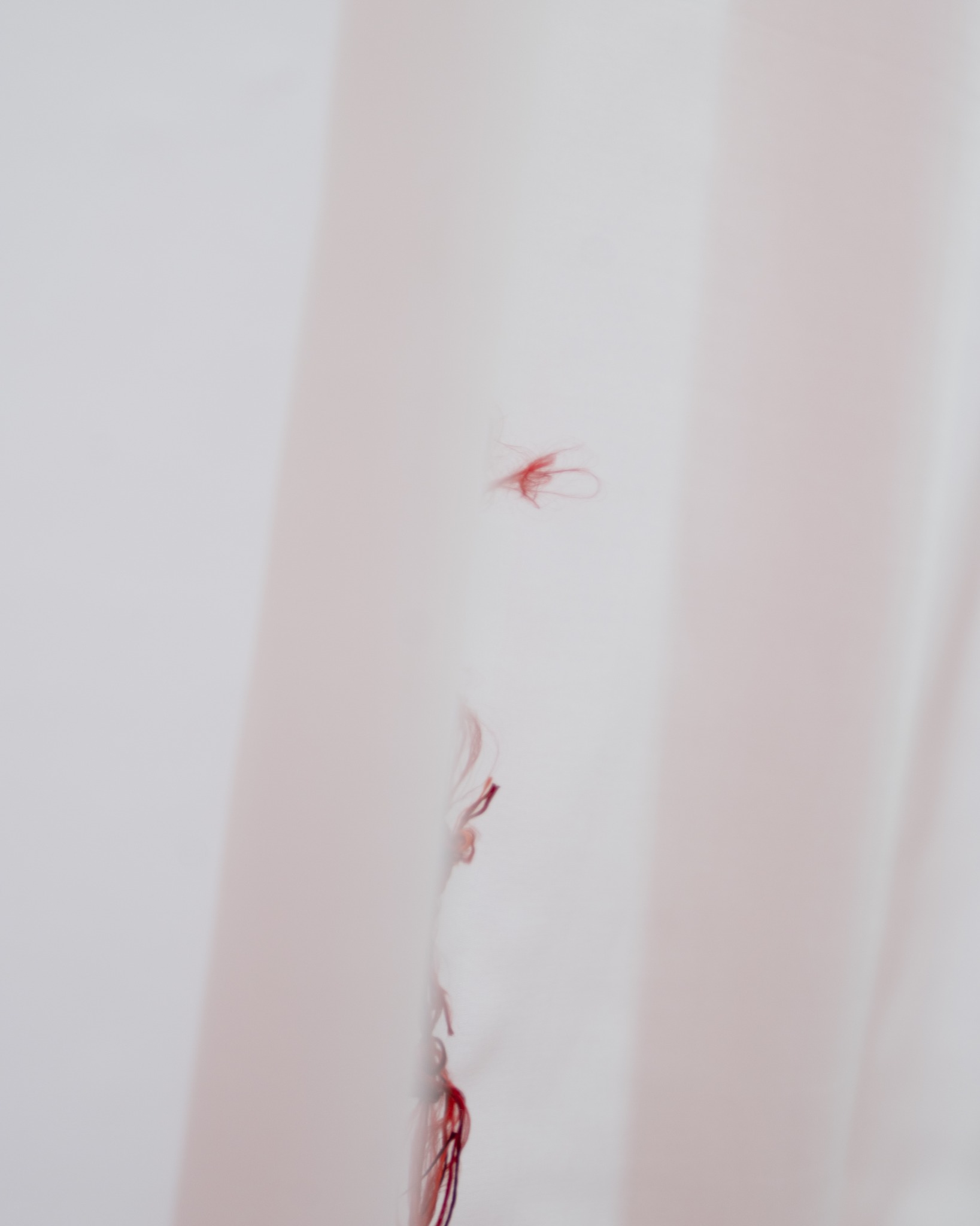 Loose silk fibres resting on organza