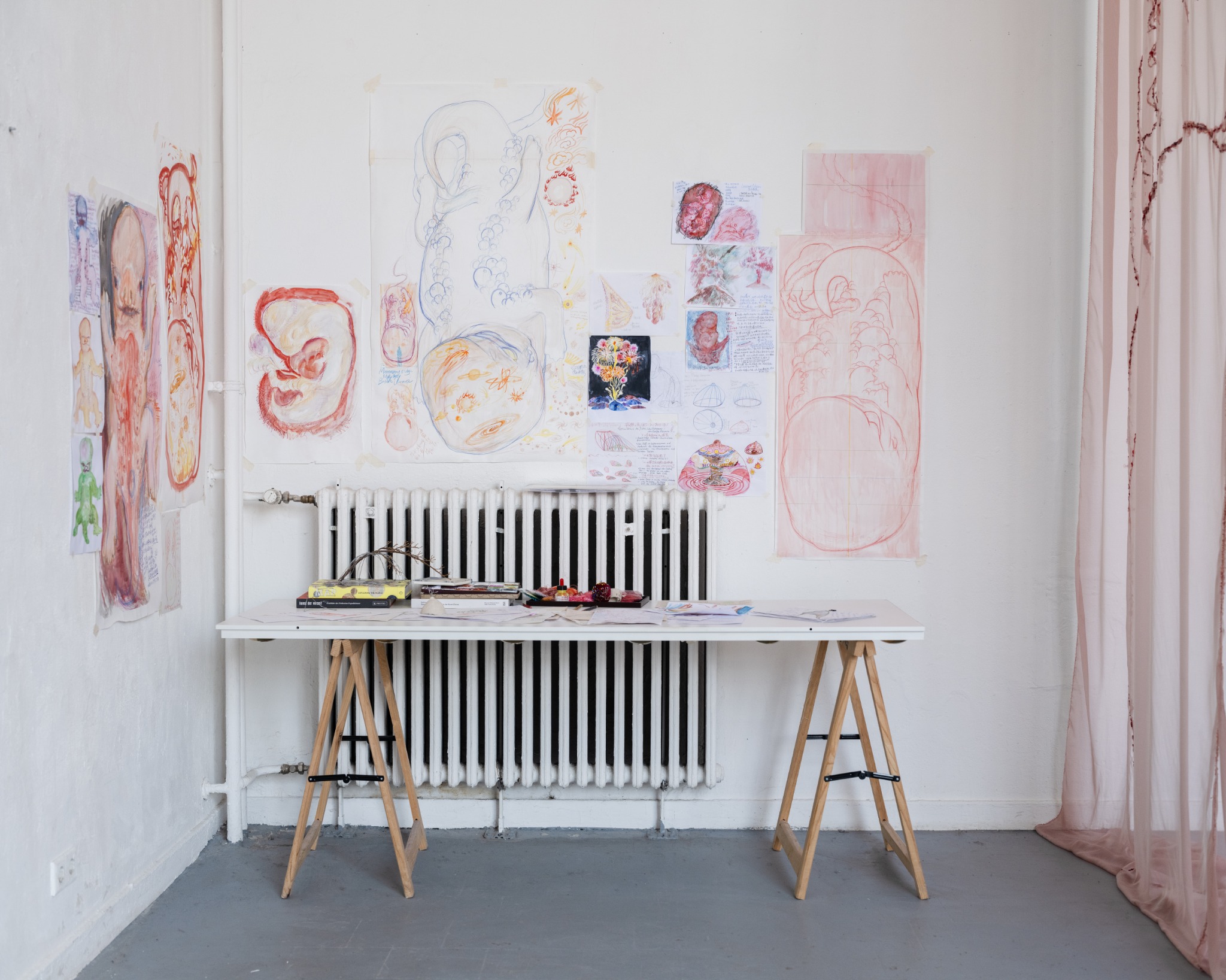 Watercolor studies of embryo forms displayed on a studio wall