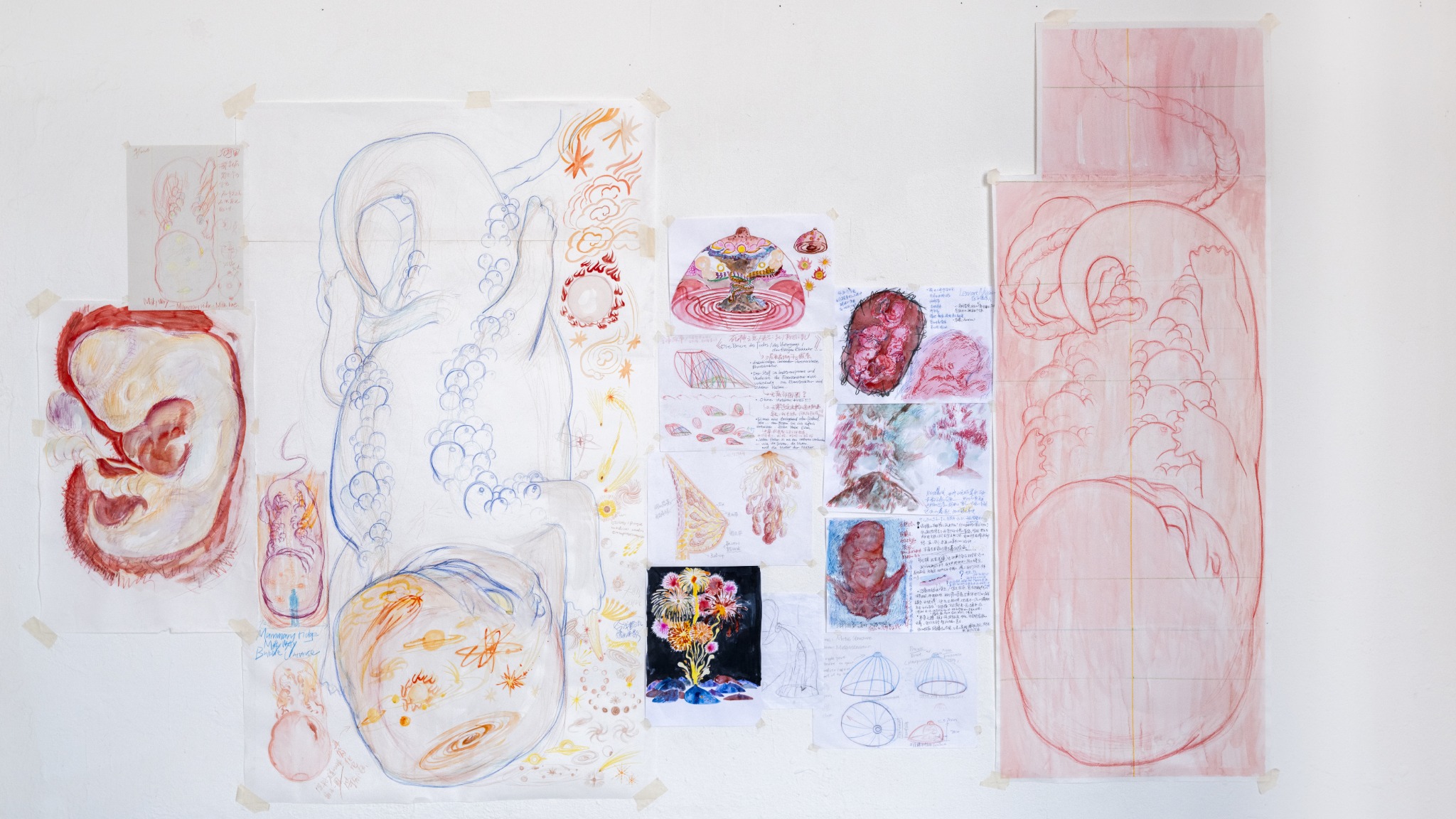 A wall arrangement of visual research for Six Weeks