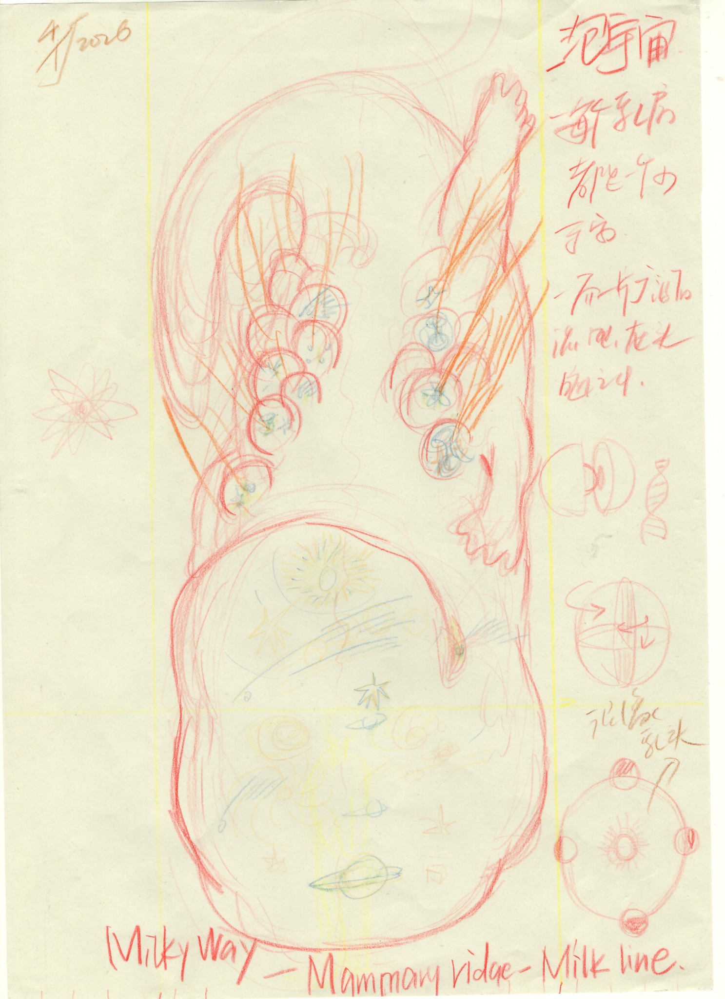 Anatomical drawing and notes on the mammary ridge