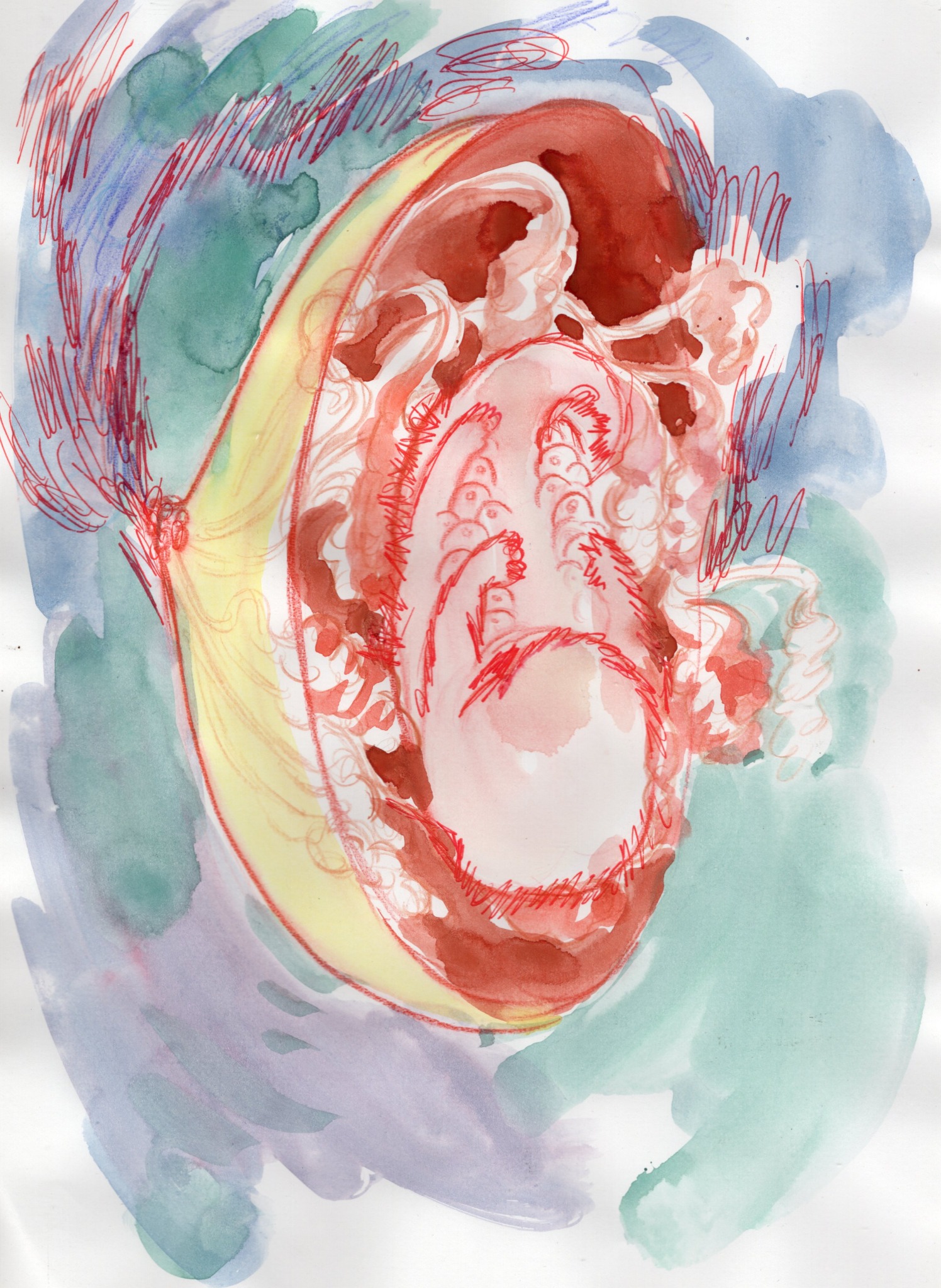 Watercolor study of an embryo-like organic form